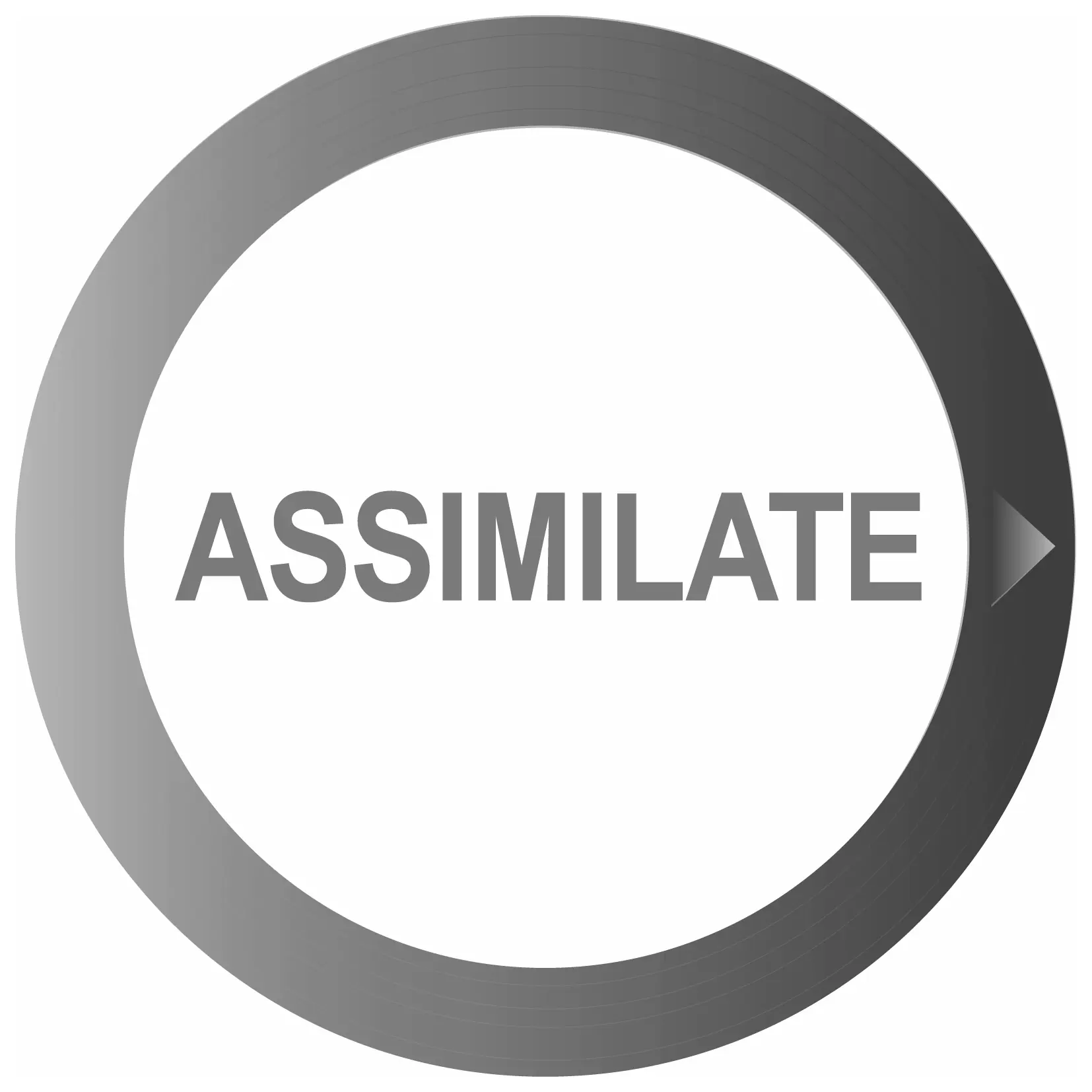 /static/img/Assimilate-logo-JPG.webp Logo